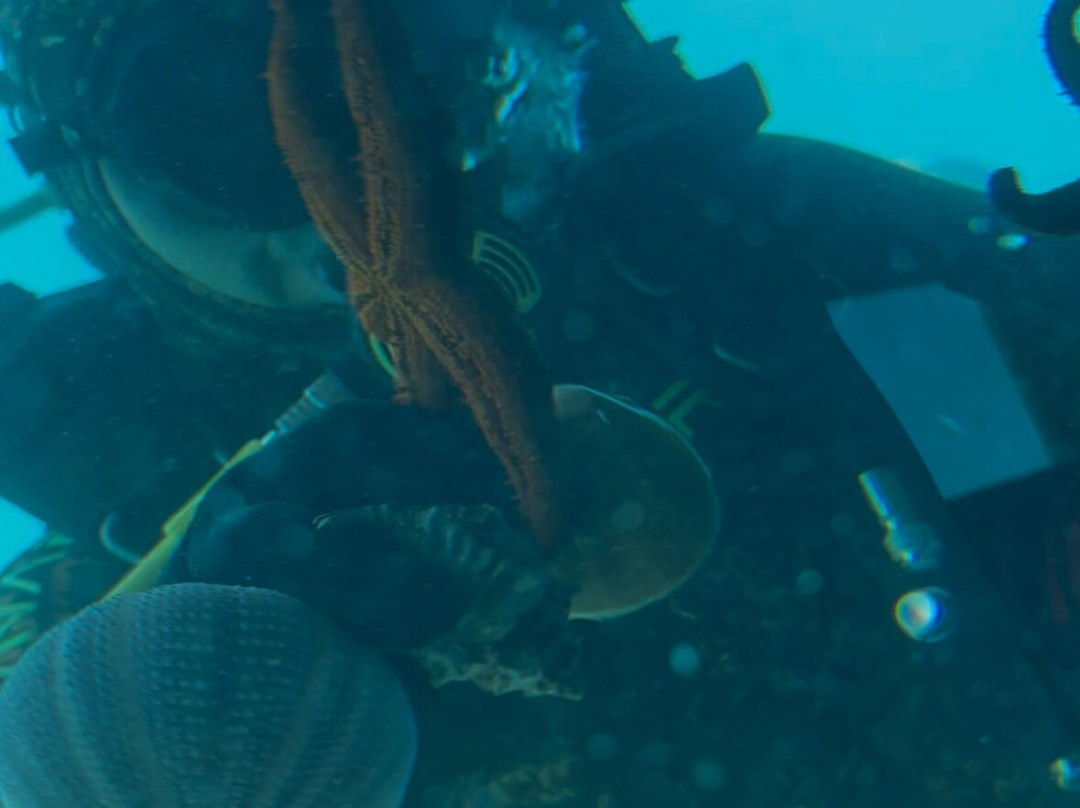 Sea Aquarium Istra-拉巴克必去景点