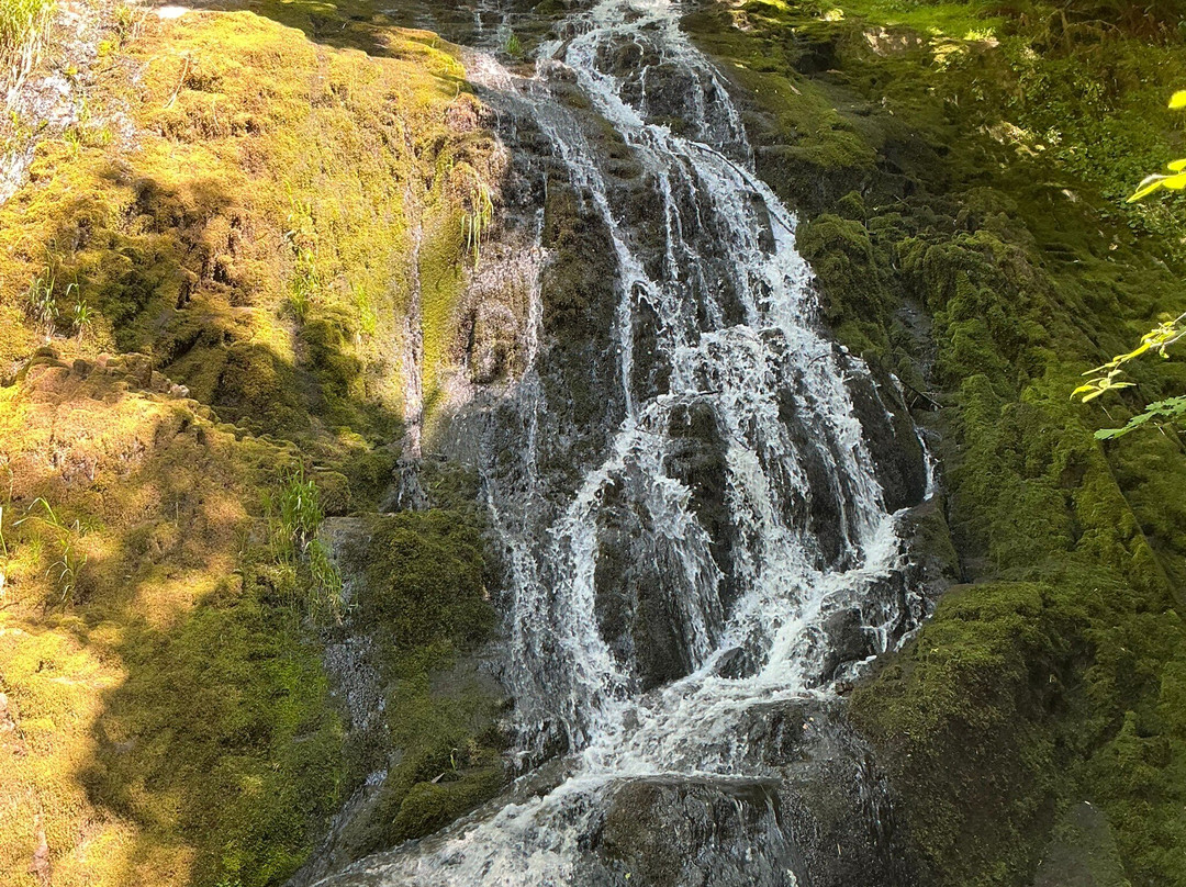 Alsea Falls Recreation Site-Alsea必去景点