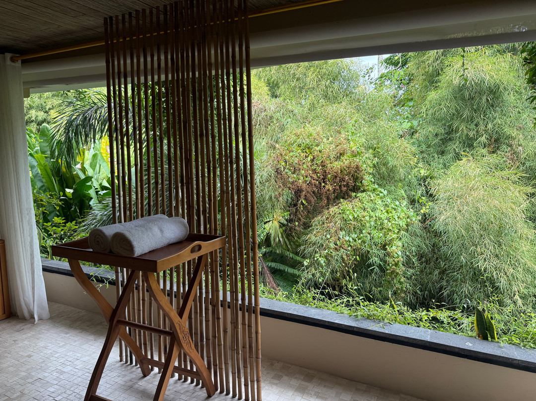 OmTara Spa By Clarins景点图片