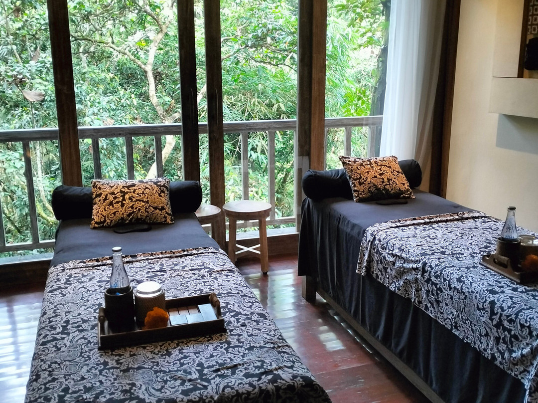 Serayu Spa at The Kayon Resort景点图片