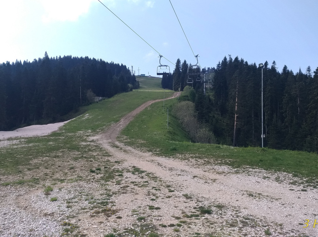 Ilgaz Mountain National Park景点图片