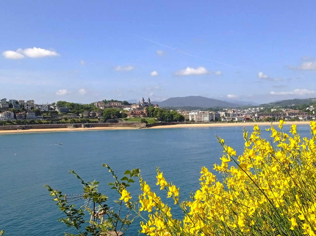 Castillo de la Mota景点图片