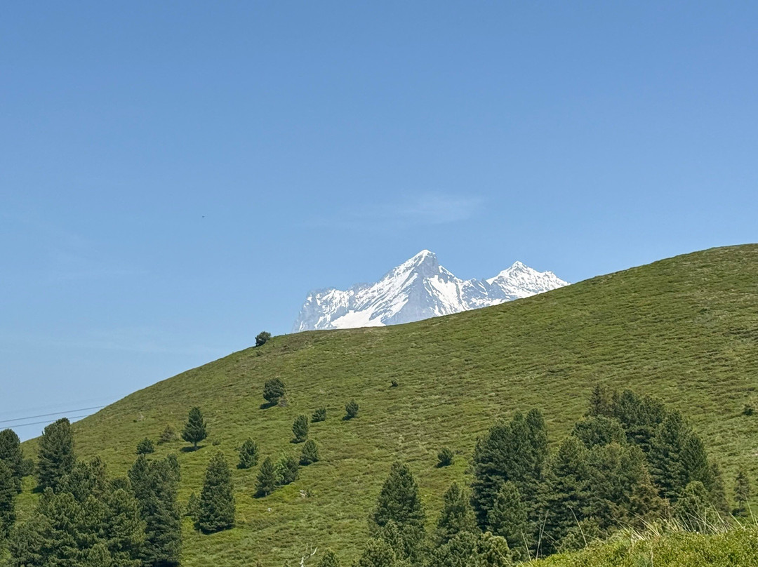 Grindelwald Walking Tours-格林德瓦必去景点