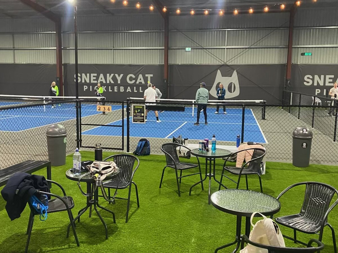 Sneaky Cat Pickleball