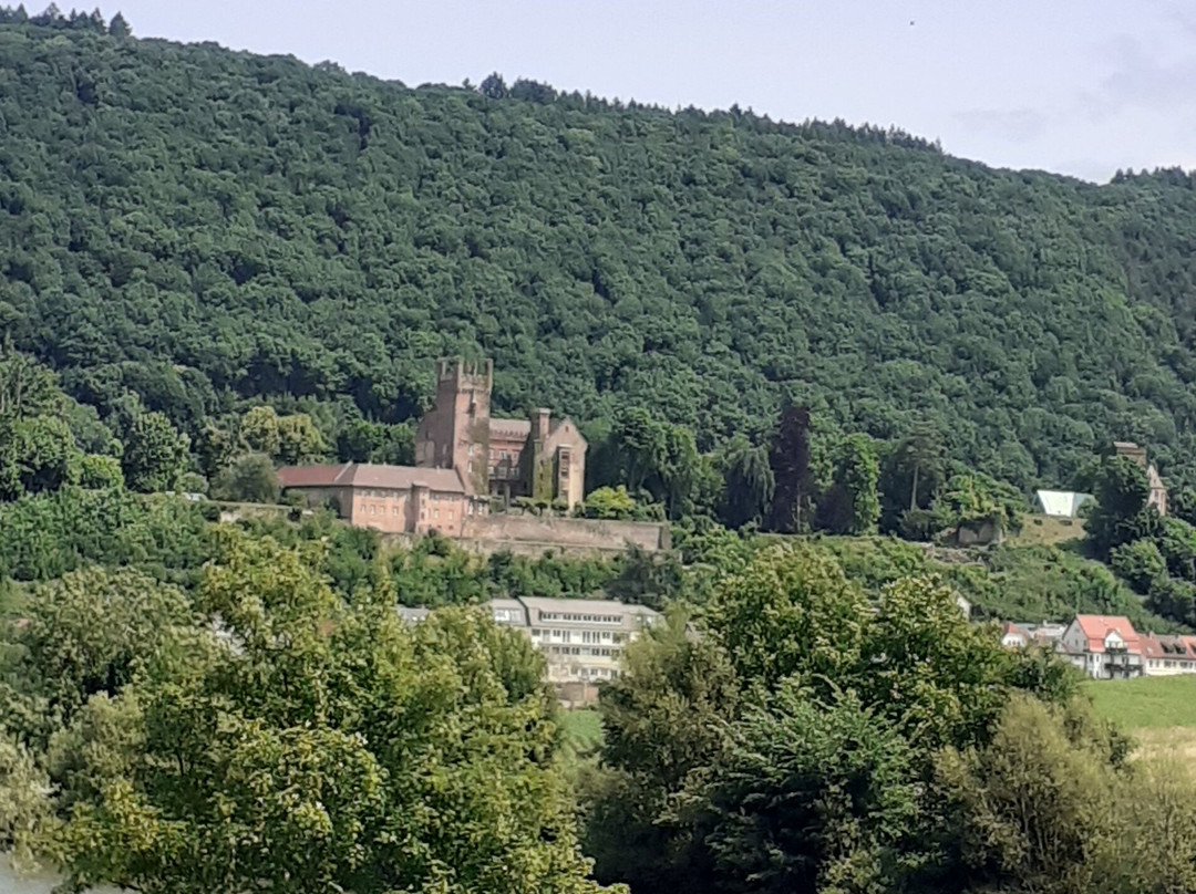 Panoramahotel Waldenburg主图