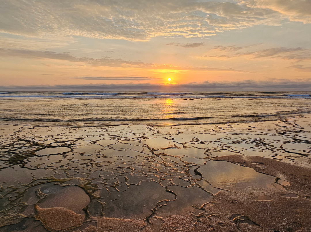 Maputo Special Reserve-马布多必去景点