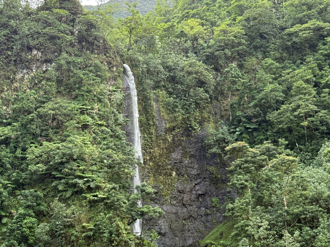 Tahiti Safari Expedition景点图片