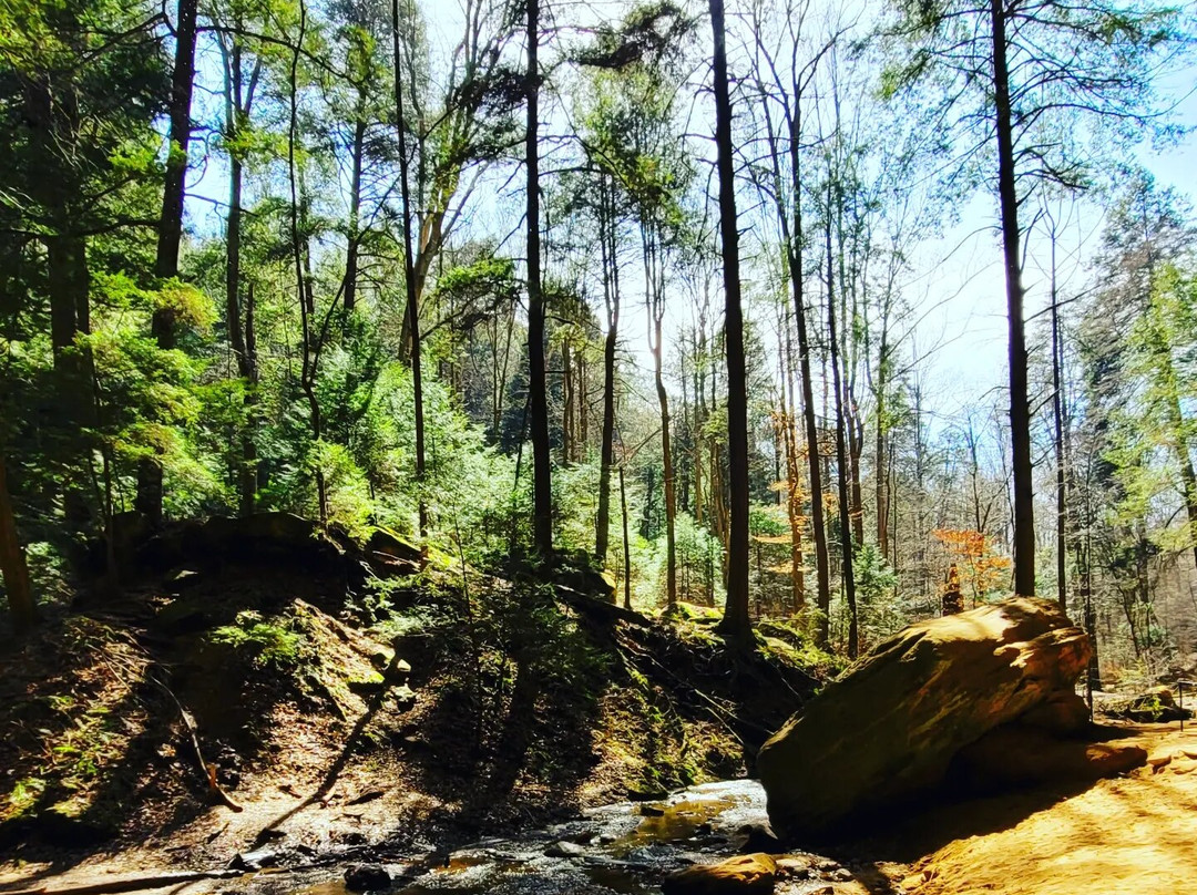Ash Cave-洛根必去景点