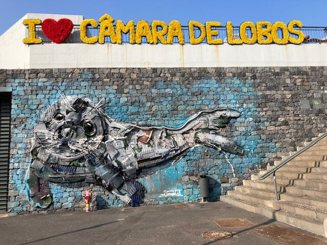 The Câmara de Lobos promenade-马德拉群岛必去景点