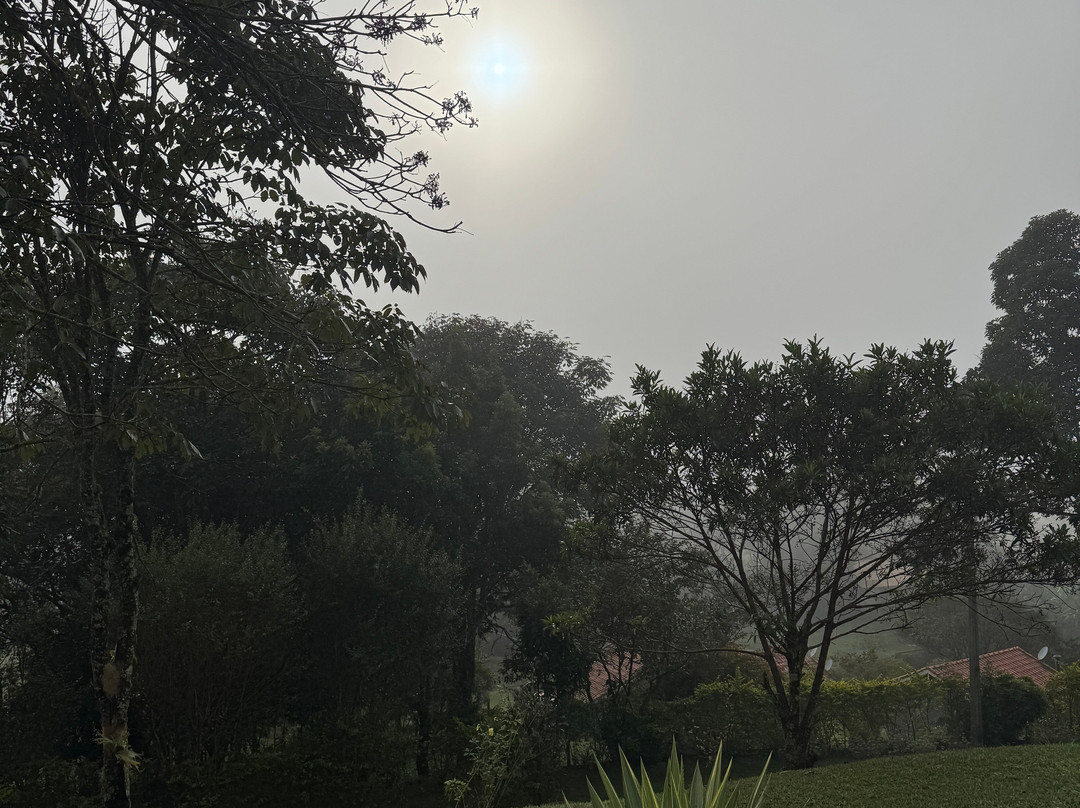 Contemplario-Cunha必去景点