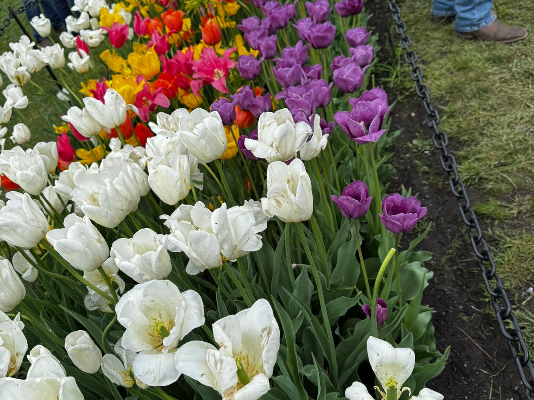 华盛顿公园-奥尔巴尼必去景点