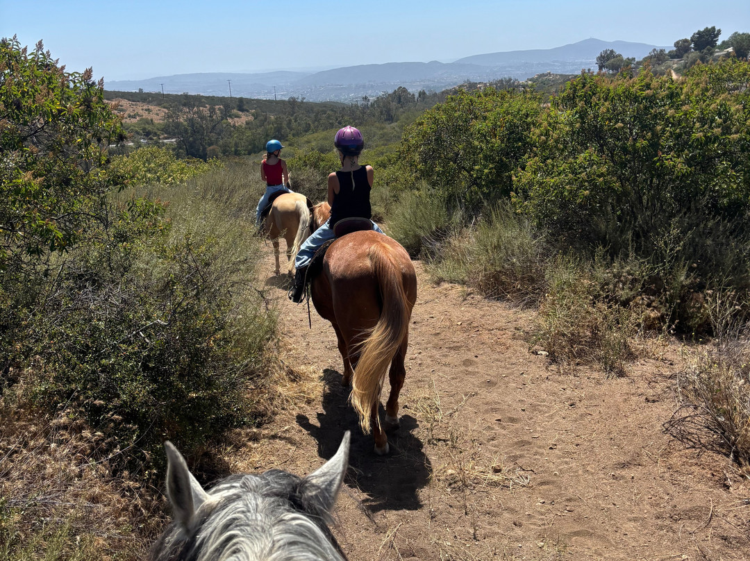 San Diego Trail Company-波威必去景点