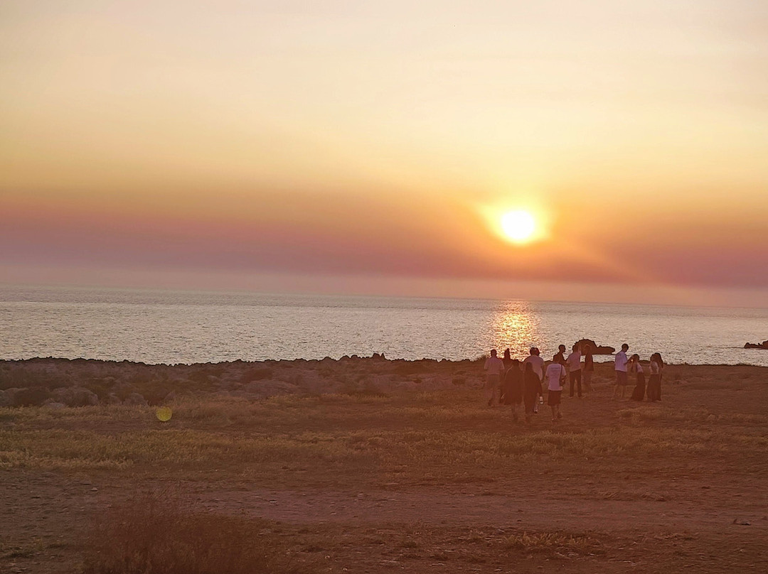 B&B Villa delle Palme主图