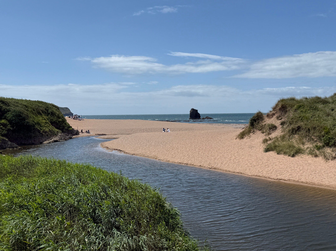 e-Xplore Devon-金斯布里奇必去景点