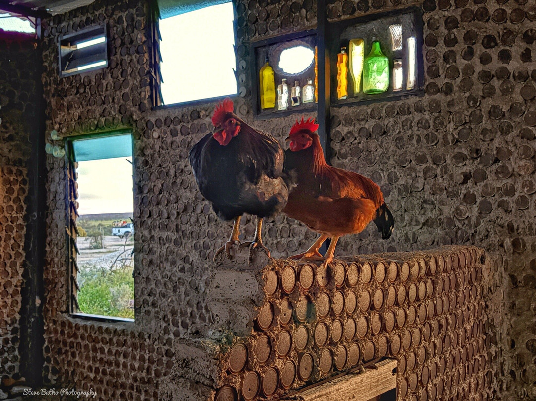 Nettleton First Shaft Lookout