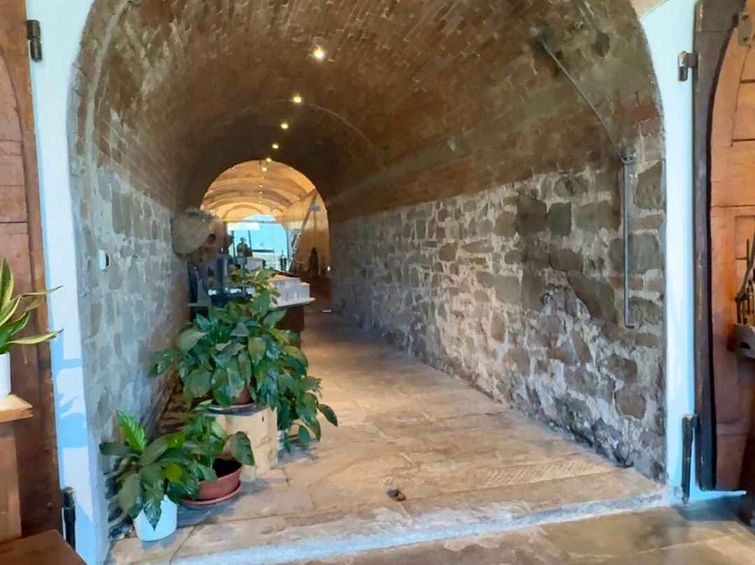 Fattoria San Michele A Torri Societa’ Agricola-null必去景点