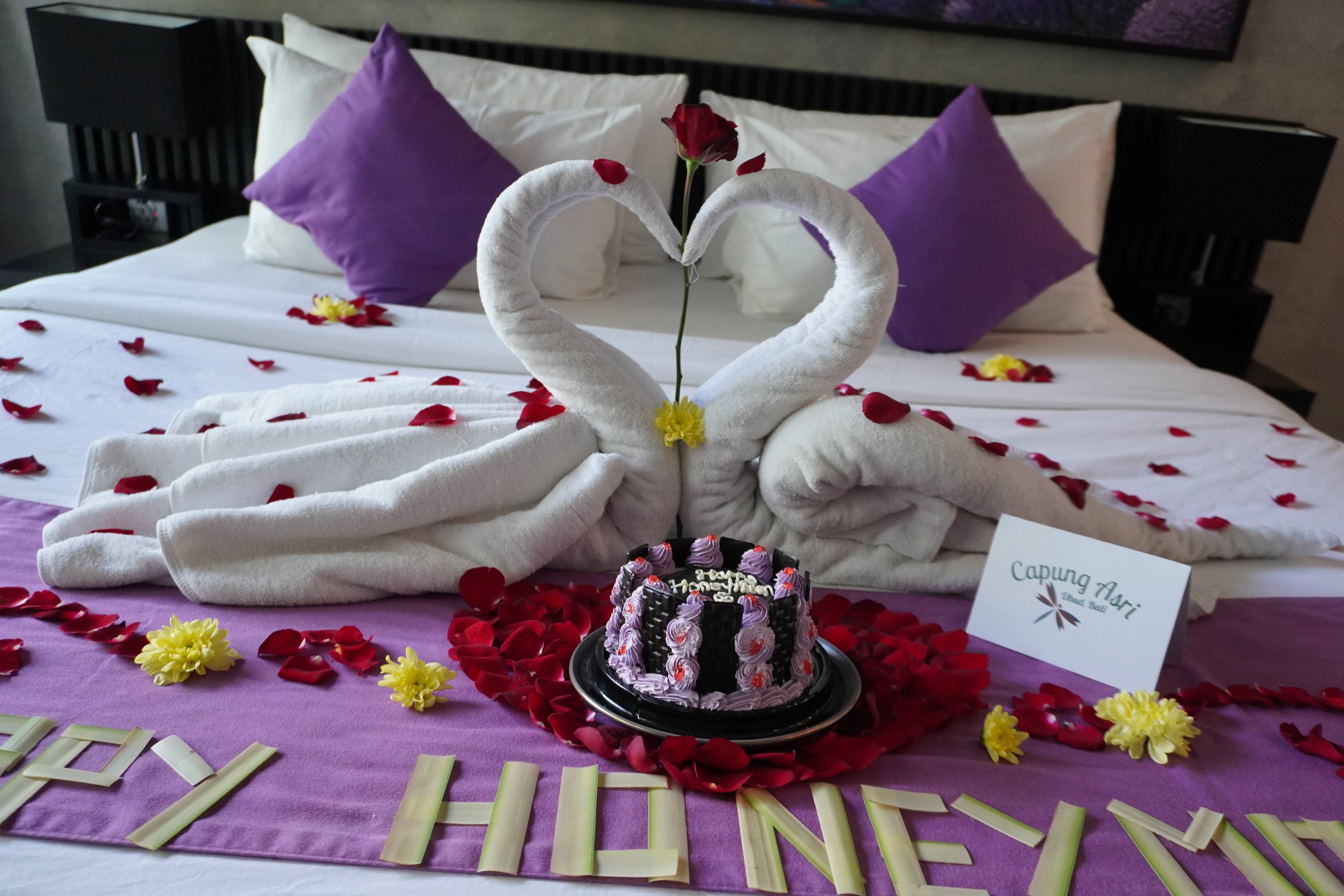 Capung Asri Eco Luxury Resort-官方