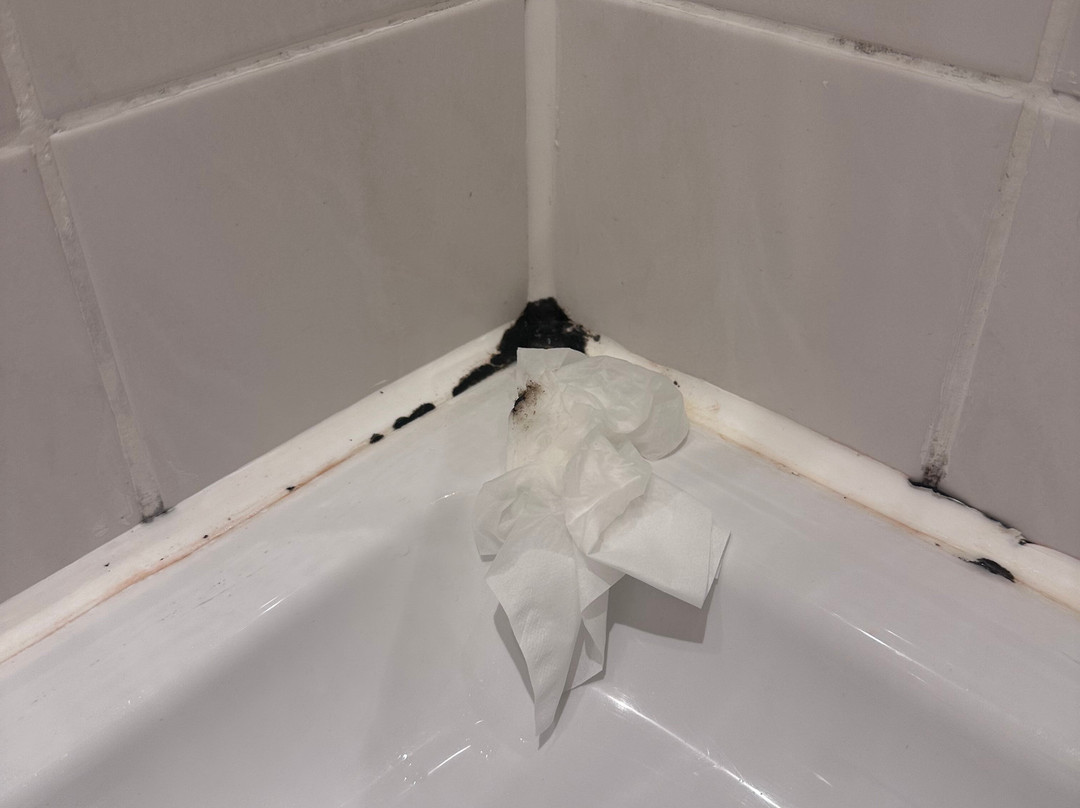 Arthotel ANA Gold主图