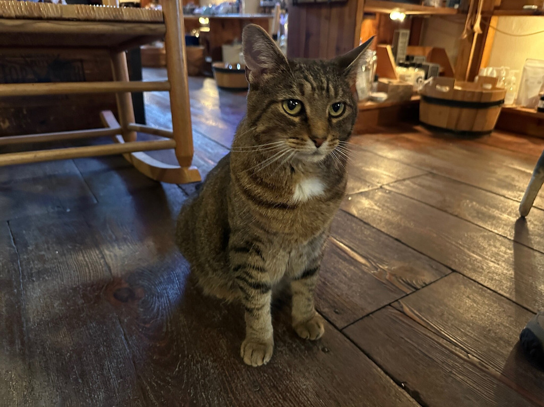 O'Hurley's General Store-Shepherdstown必去景点