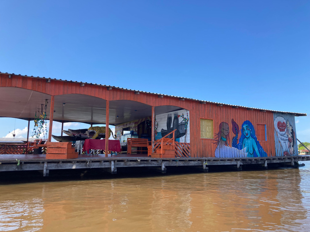 Amazon Green Tours-玛瑙斯必去景点