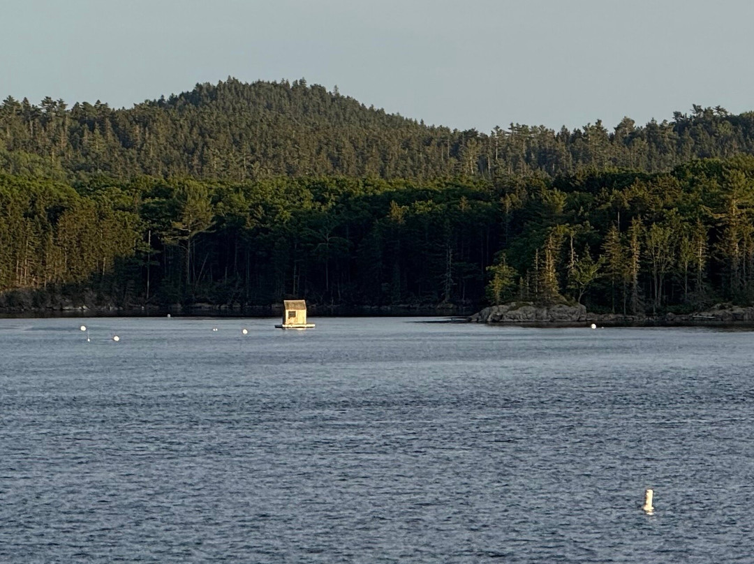 Castine Kayak Adventures-Castine必去景点