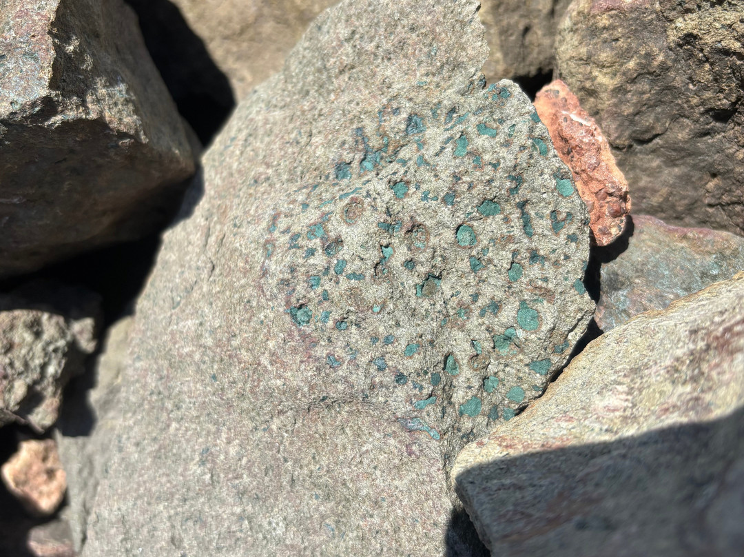 Fundy Treasure Tours-Joggins必去景点