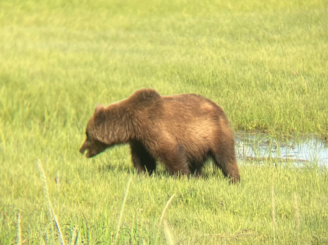 Catch A Lot Charters-荷马必去景点