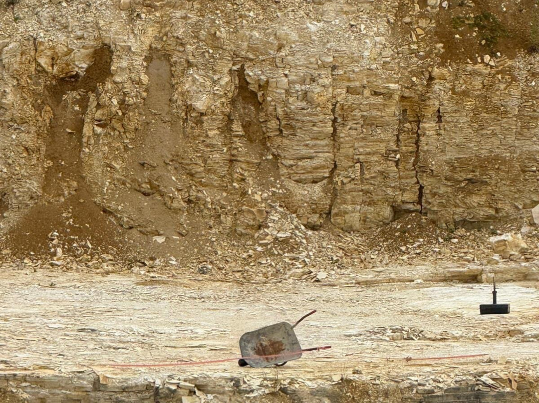 Fossiliensteinbruch Blumenberg-艾希施泰特必去景点