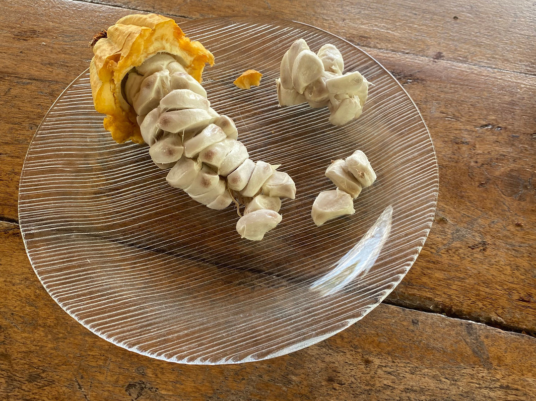 Libélula Finca Agroecológica-Manglaralto必去景点