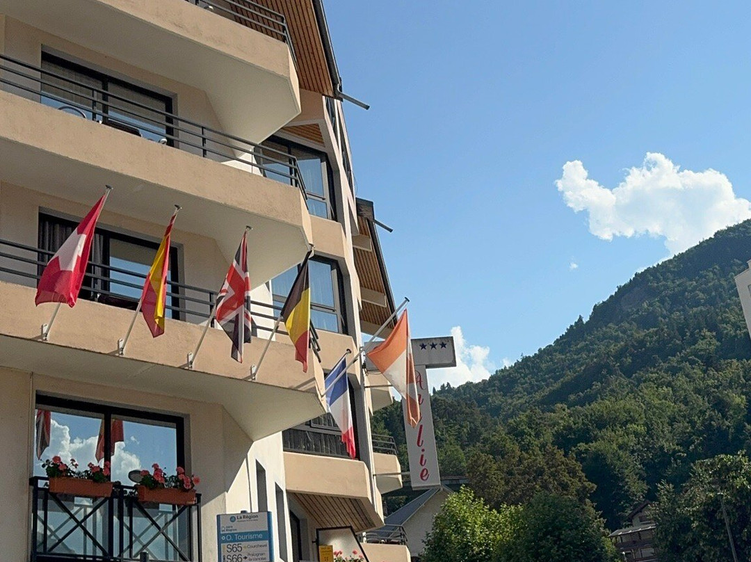 Hôtel Amélie主图