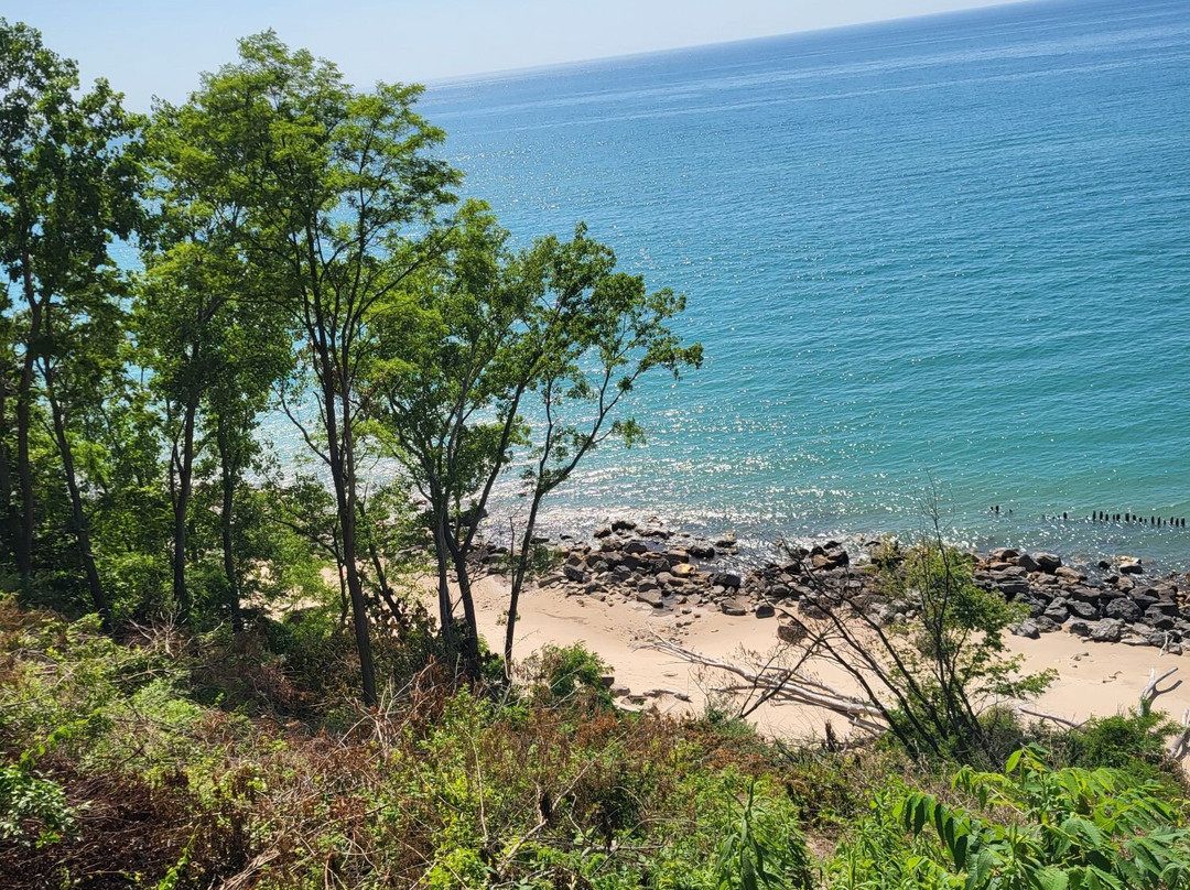 Stearns Park-拉丁顿必去景点