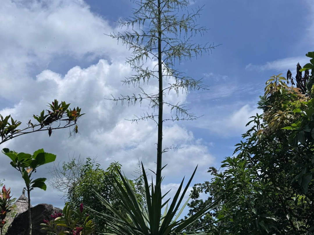 Awindua, Pueblito Indigena Wiwa-Minca必去景点