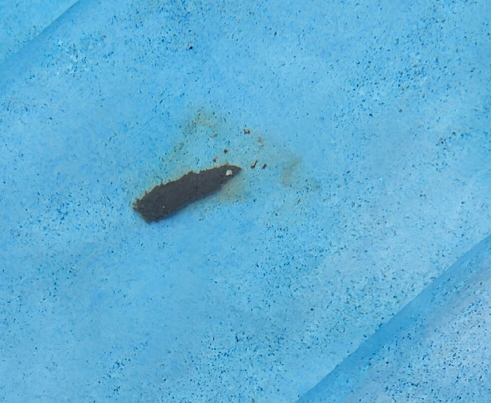 Bay View Hotel主图