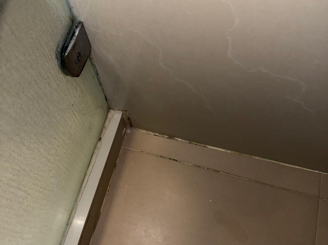 LIDOTEL Paraguaná主图