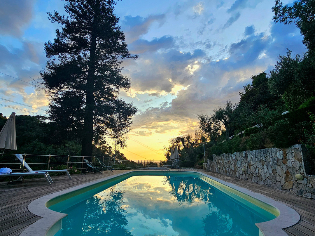 Villa Borgovecchio B&B主图