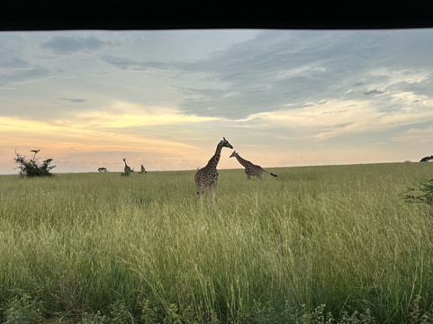 leone Tours and travel-恩德培必去景点
