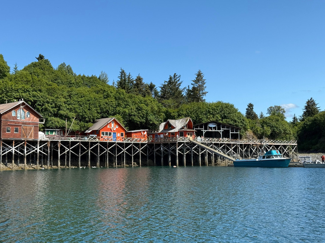 True North Kayak Adventures-荷马必去景点