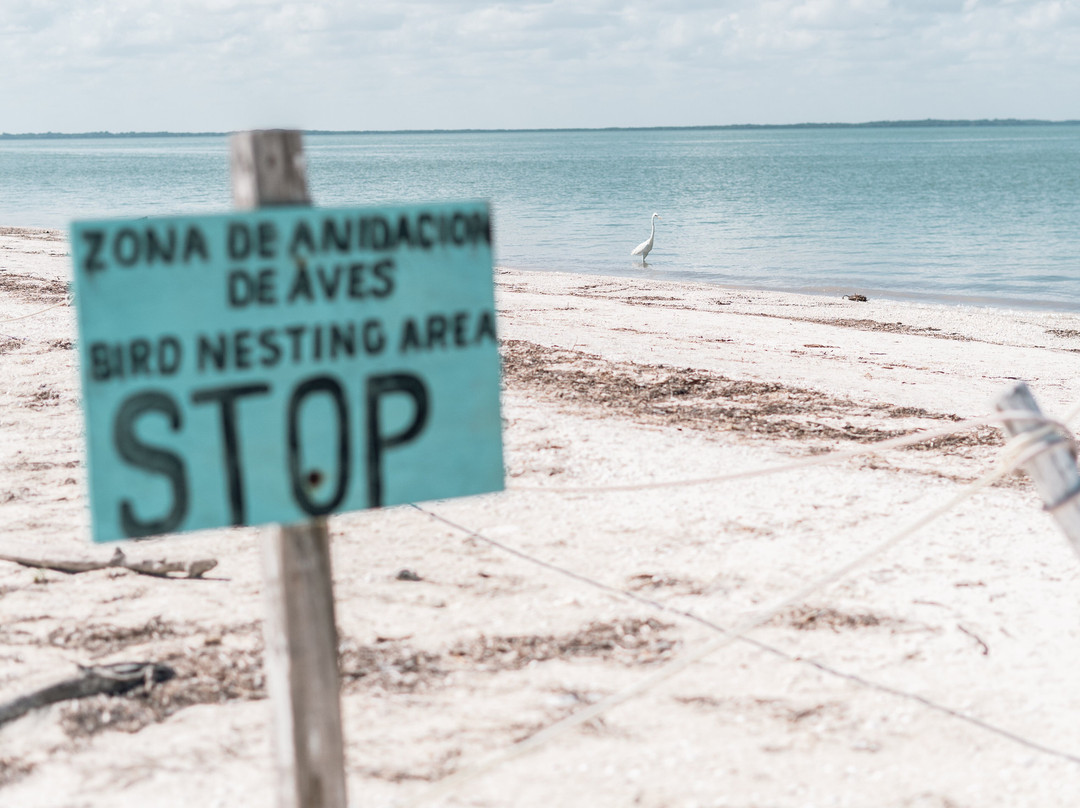 Náay Boutique Hotel主图