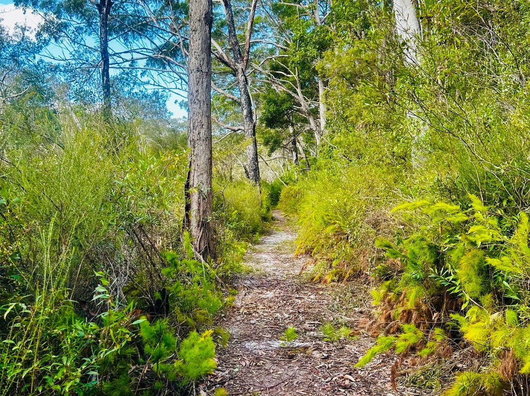 SeaLink K'gari (Fraser Island)-River Heads必去景点