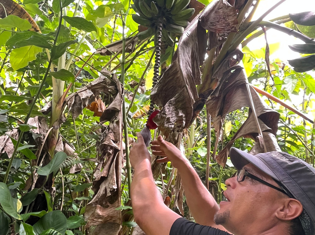 The Kings Gardens Maui-Huelo必去景点