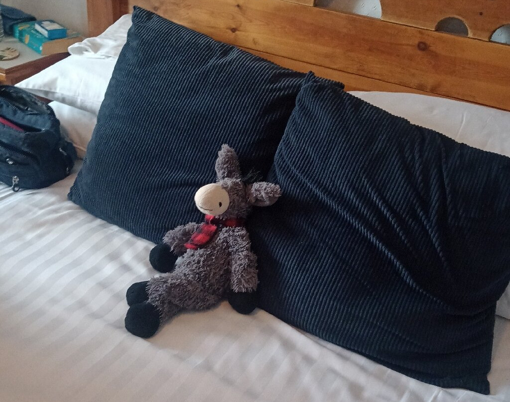 The Bay Horse Country Inn主图