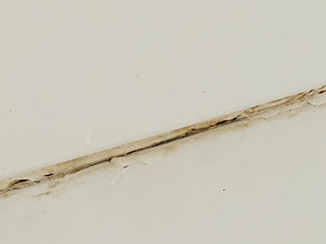 Cascade Lake Inn主图