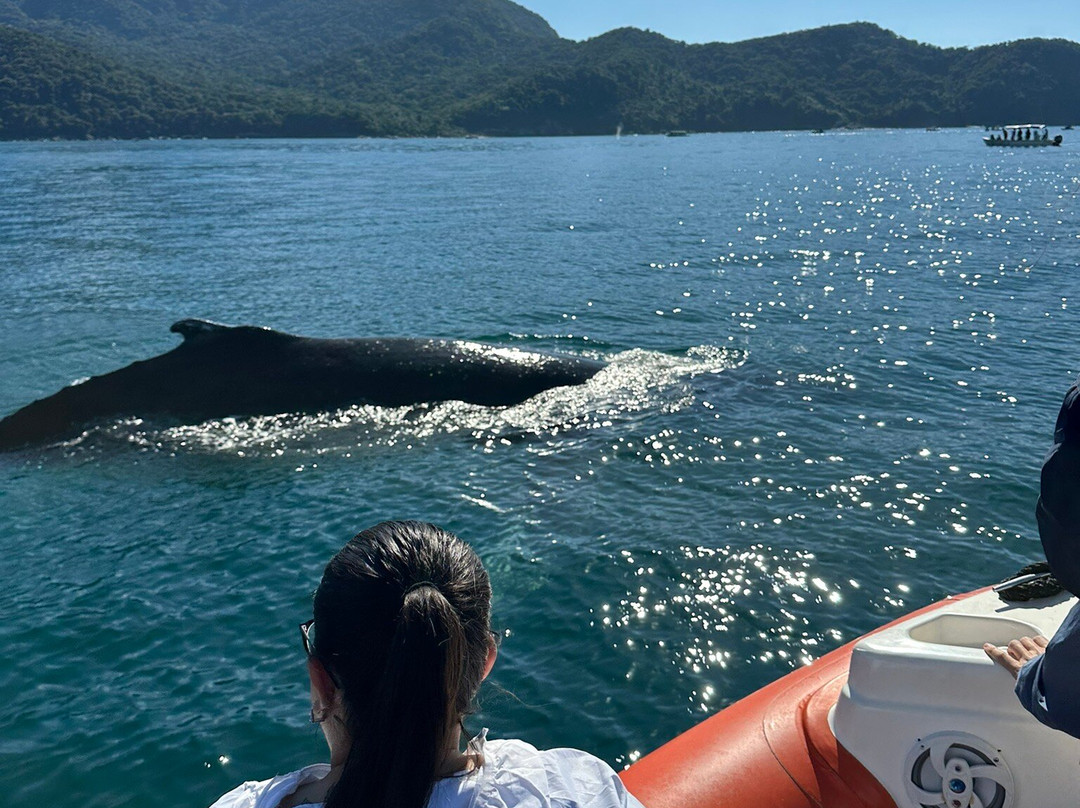 Maremar Turismo-伊利亚贝拉必去景点