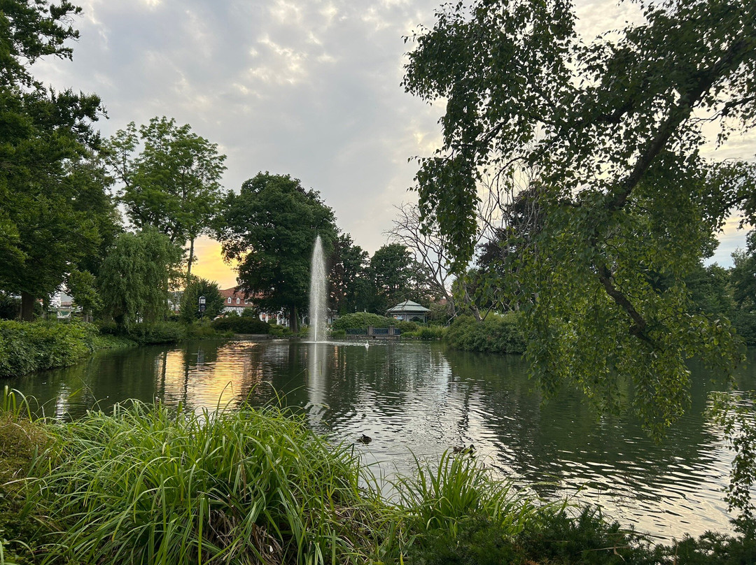 Kurpark Reinhardshausen-Bad Wildungen必去景点