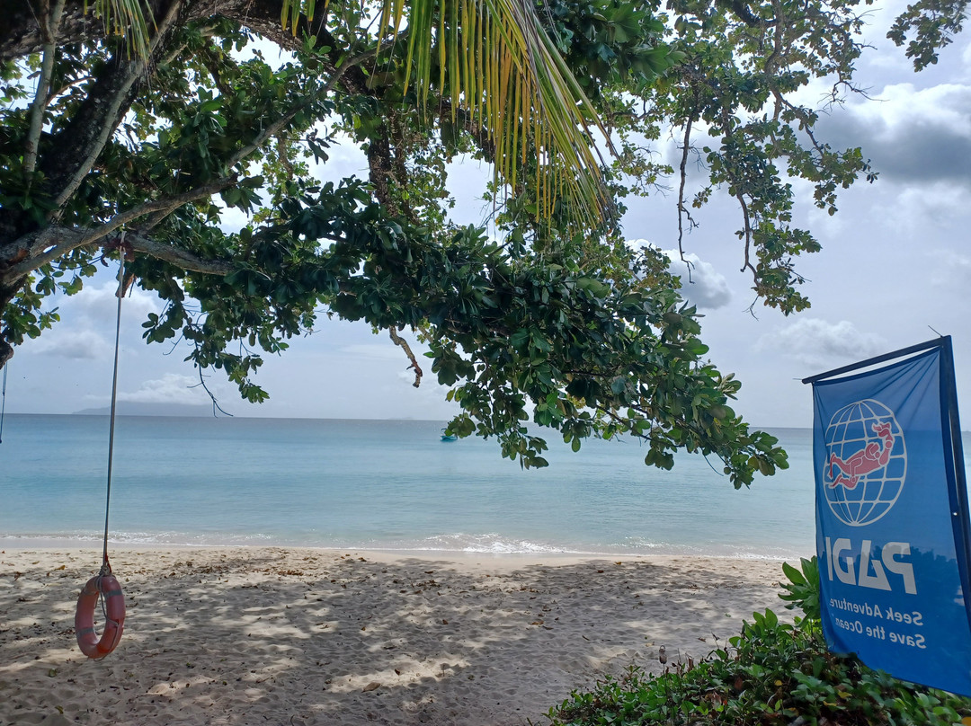 Dive Seychelles Underwater Centre-博瓦隆必去景点