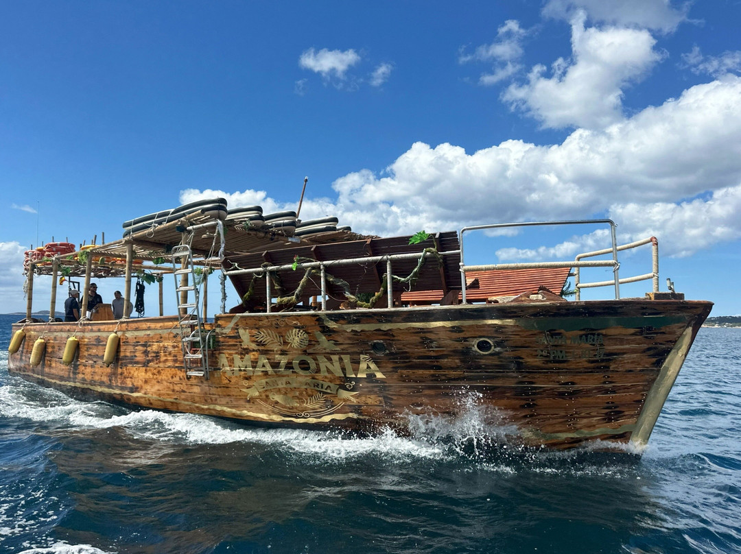 Amazonia Boats