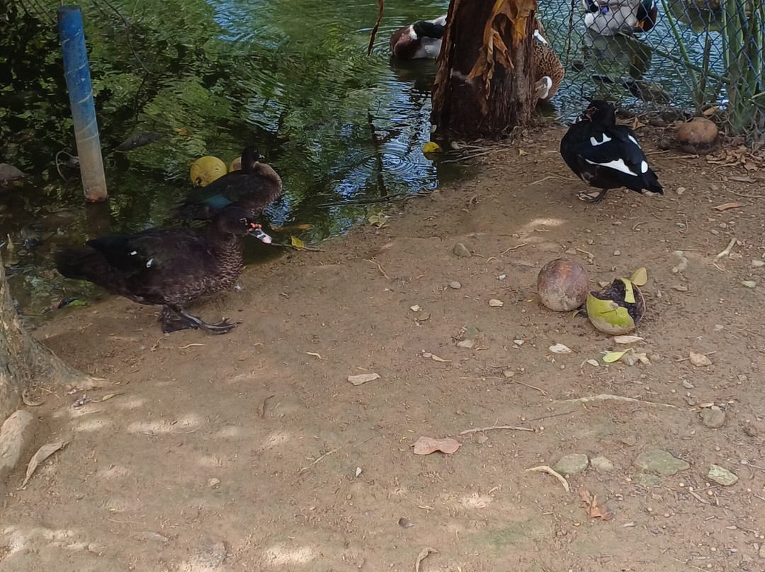 Parque Pedra da Cebola-维多利亚必去景点