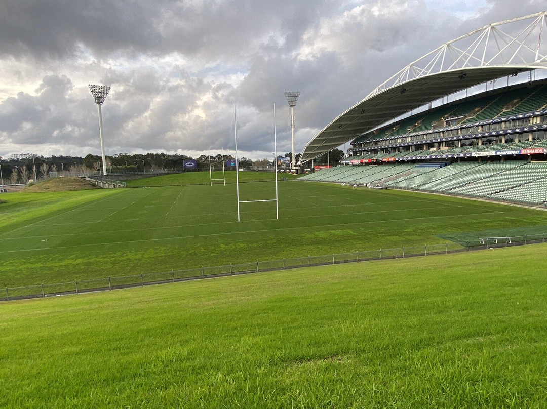QBE Stadium-奥尔巴尼必去景点