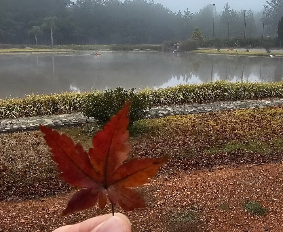 Ózera Hotel Fazenda主图