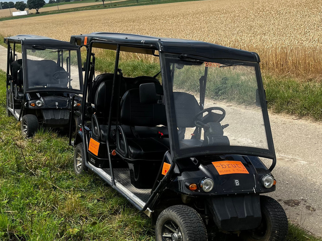 Brut Wines & Tours | Martenslinde-Bilzen必去景点